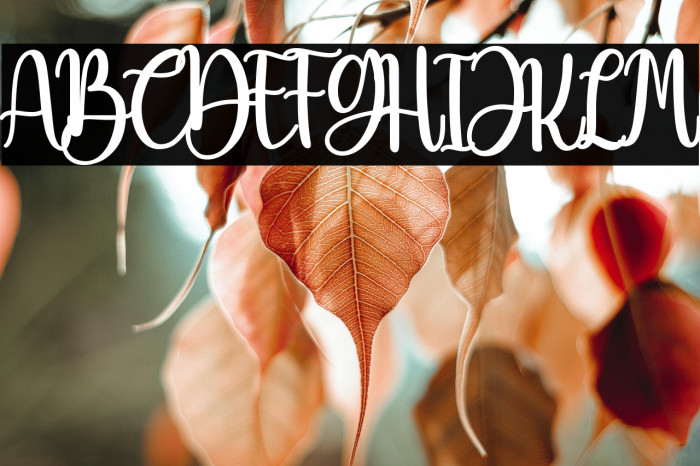 Beauty Christmas Example 3