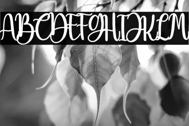 Beauty Christmas Font examples