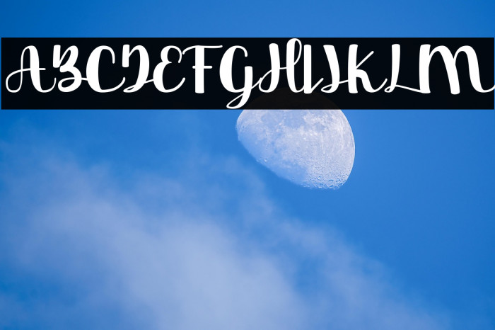 Beauty Day Example 1