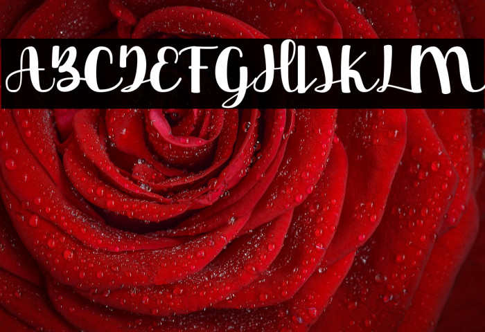 Beauty Day Example 2