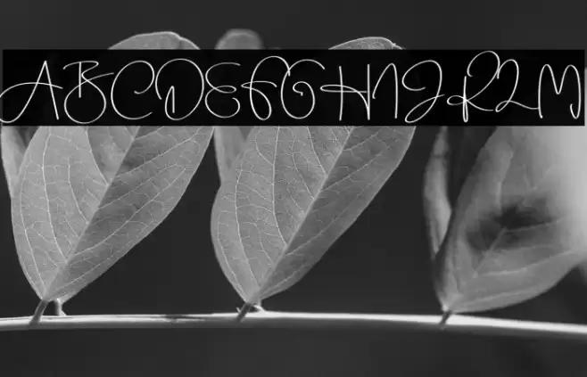 Beauty Dream Font examples