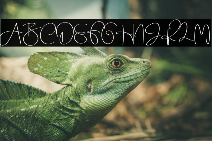 Beauty Dream Font examples
