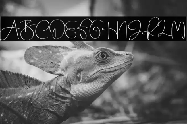 Beauty Dream Font examples