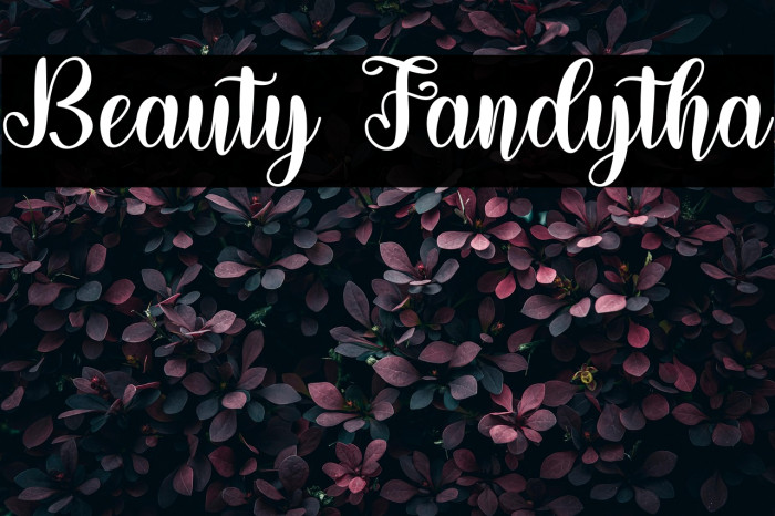 Beauty Fandytha Example 3