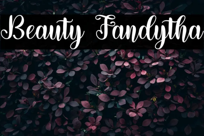 Beauty Fandytha Example 3
