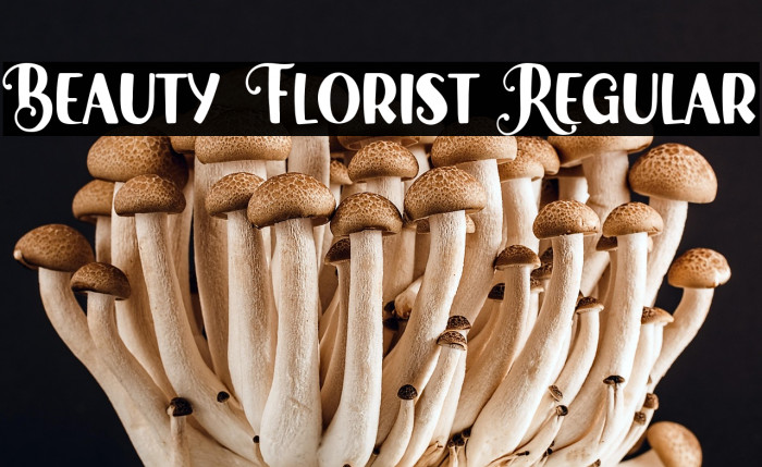 Beauty Florist Regular Example 3