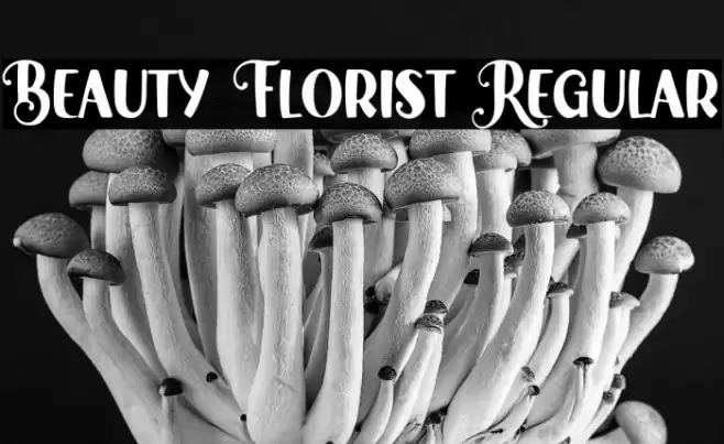 Beauty Florist Regular Font examples
