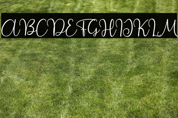 Beauty Flower Example 1