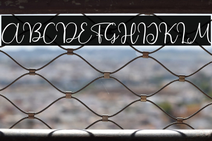 Beauty Flower Example 3