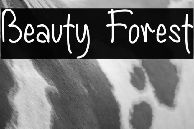 Beauty Forest Font examples