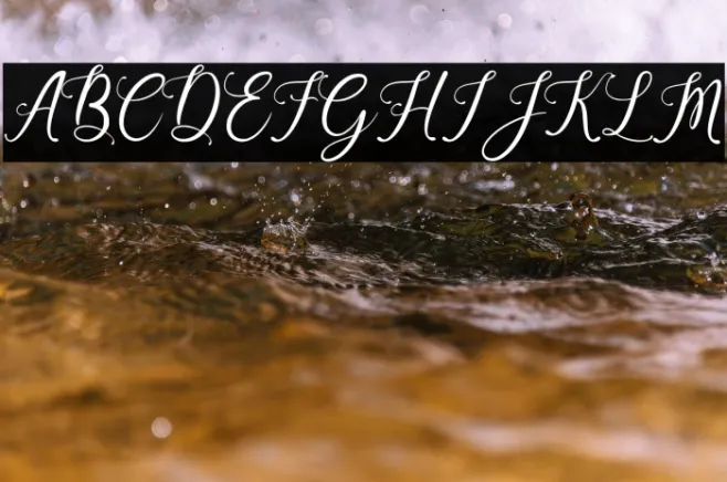 Beauty Gadish Example 3