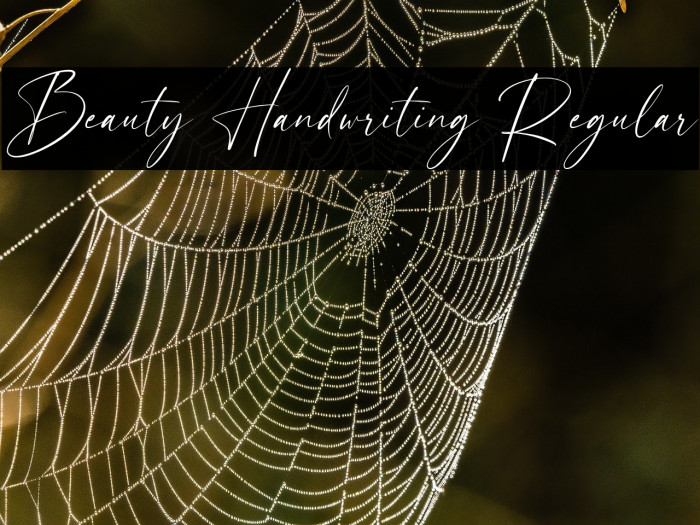 Beauty Handwriting Regular Example 3