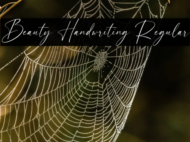 Beauty Handwriting Regular Example 3