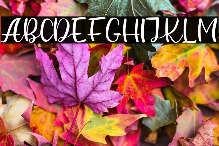 Beauty Hearts Example 3