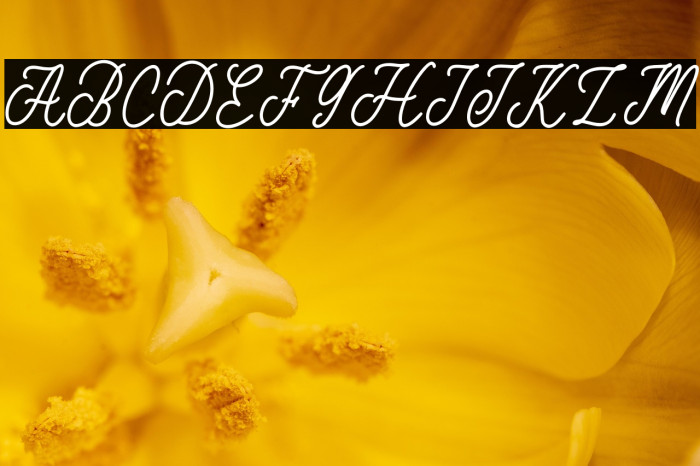 Beauty Homelia Example 1