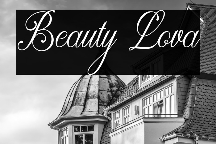 Beauty Lova Example 3