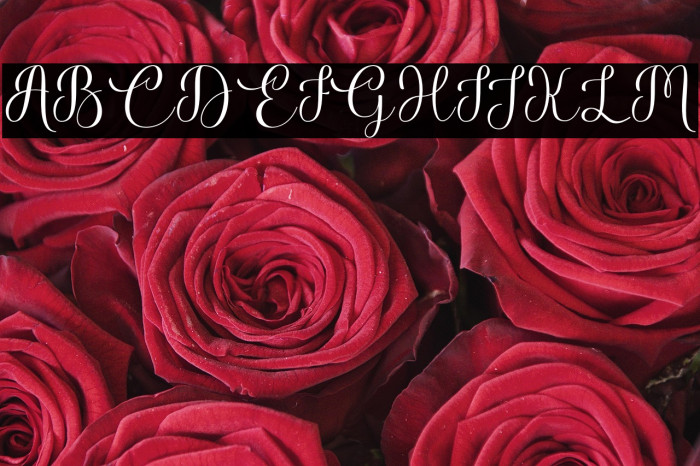 Beauty Lovely Example 3