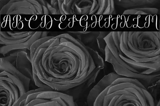 Beauty Lovely Font examples