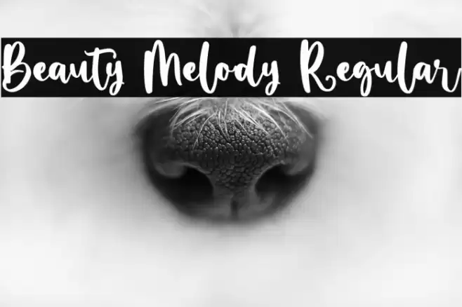 Beauty Melody Regular Font examples