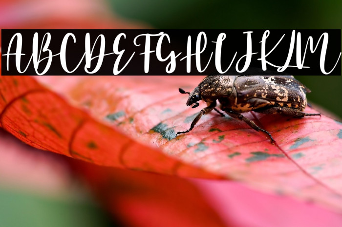 Beauty Mermaid - Personal Use Example 2