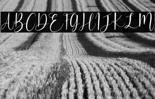 Beauty Mothers Font examples