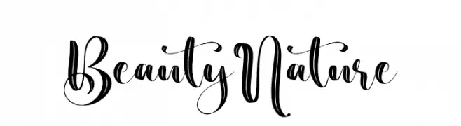 Beauty Nature  font caratteri gratis