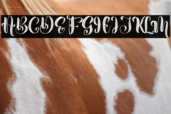 Beauty Nature Example 1