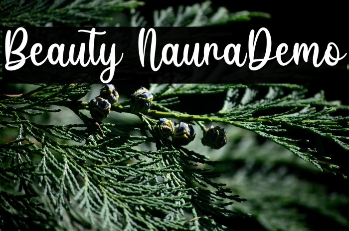 Beauty NauraDemo Example 3