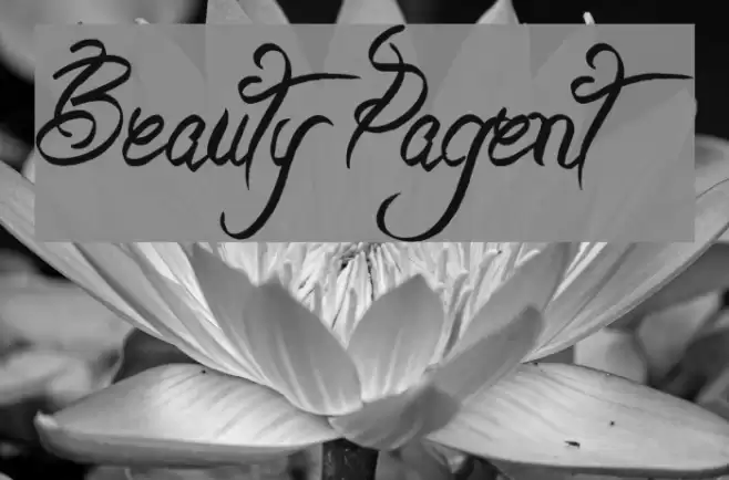 Beauty Pagent Font examples