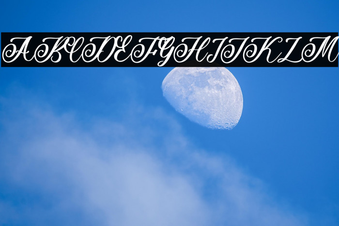 Beauty Rose Example 1