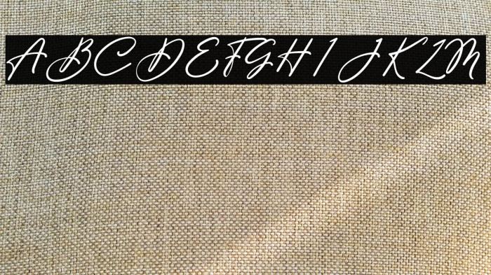 Beauty Satine Personal Use Font Example 2