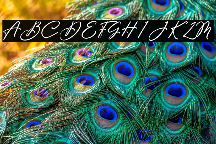 Beauty Satine Personal Use Font Example 3