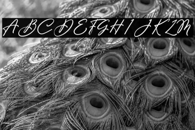 Beauty Satine Personal Use Font Font examples