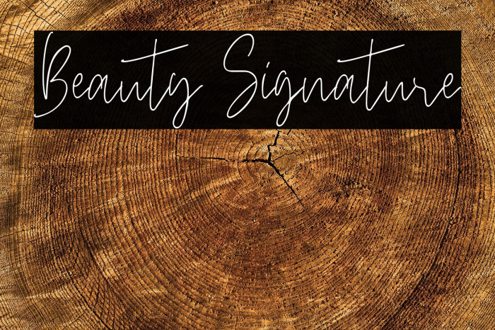 Beauty Signature Example 1