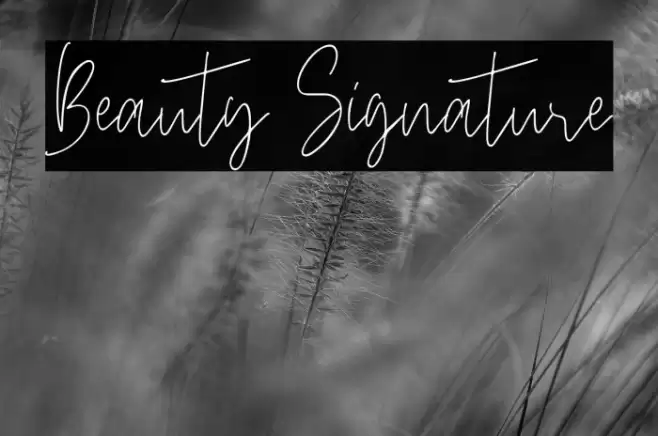 Beauty Signature Font examples