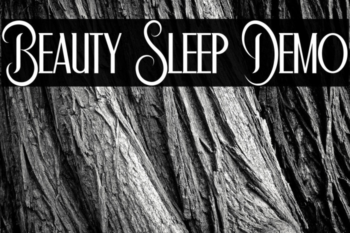 Beauty Sleep Demo Example 2