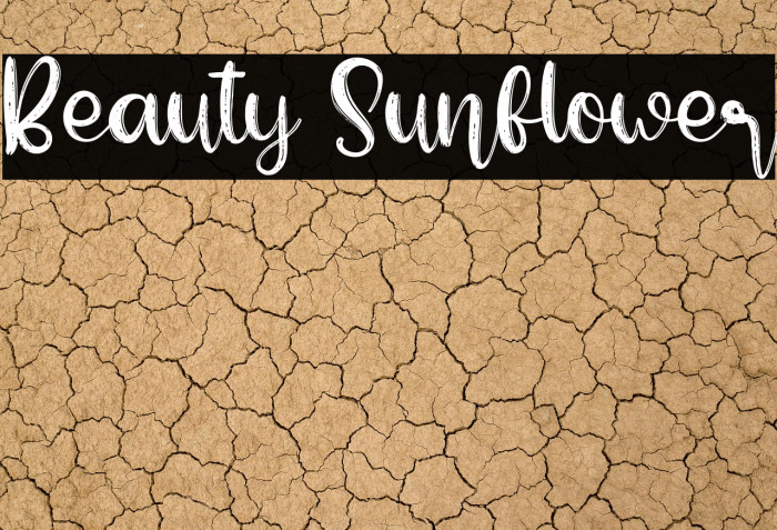 Beauty Sunflower Example 3