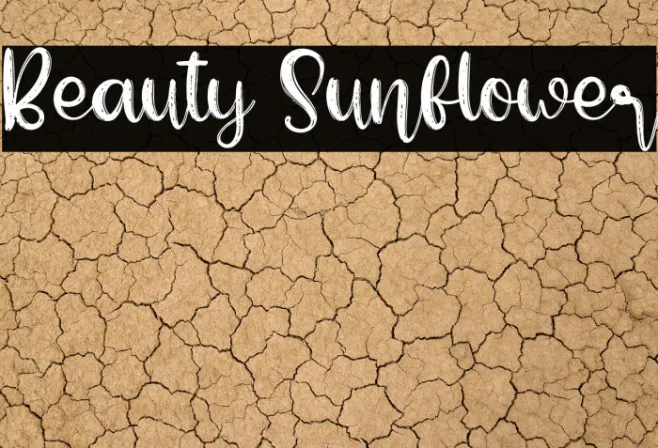 Beauty Sunflower Example 3
