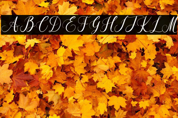 Beauty Sunshine Example 3