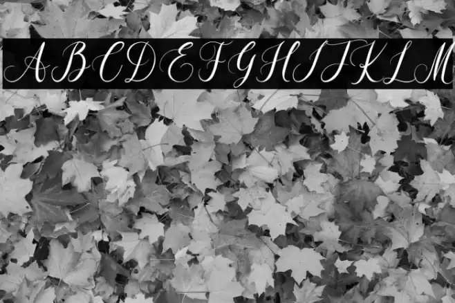 Beauty Sunshine Caratteri examples