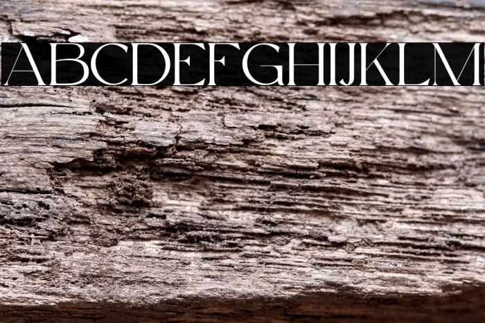 Beauty Swing Personal Use Example 1