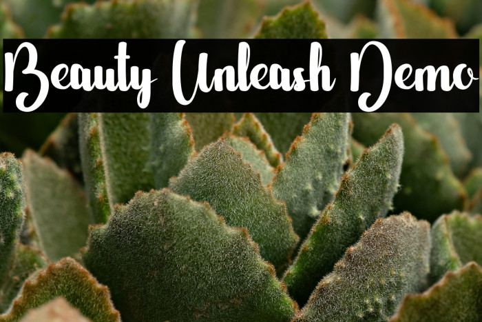 Beauty Unleash Demo Example 1