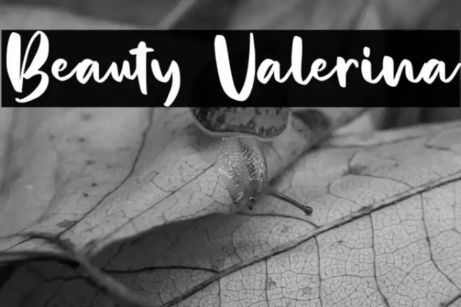 Beauty Valerina Font examples