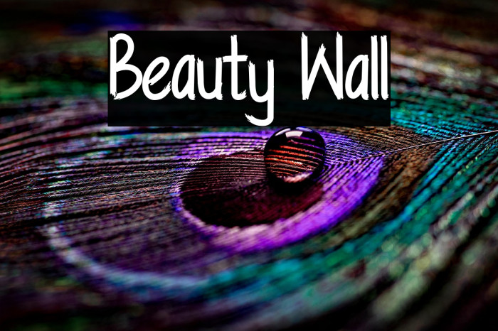Beauty Wall Example 1