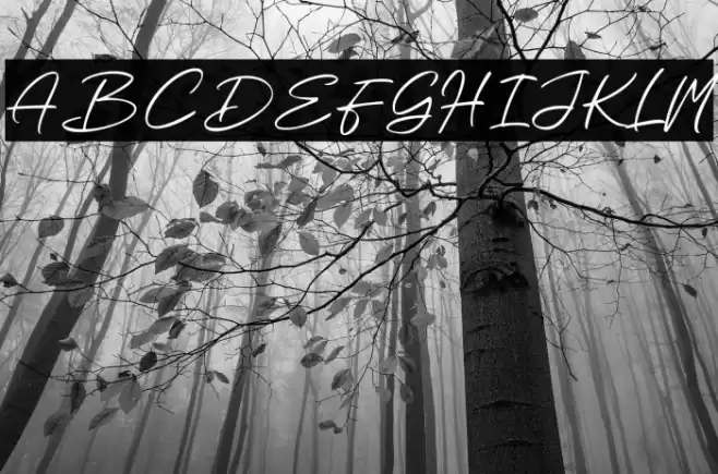 Beauty Wind Caratteri examples