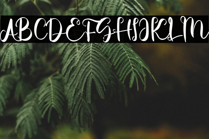 Beauty Yellow Example 3