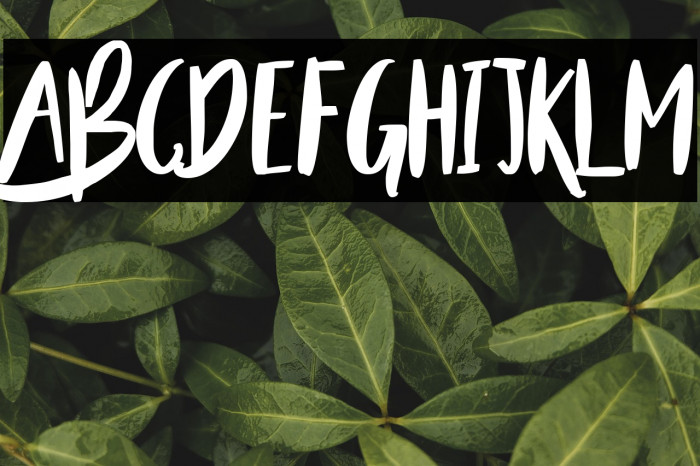 Beauty and the Beast  Example 2