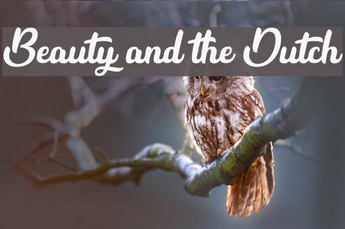 Beauty and the Dutch Font examples