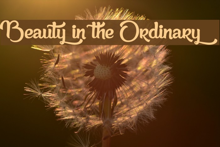 Beauty in the Ordinary Font examples