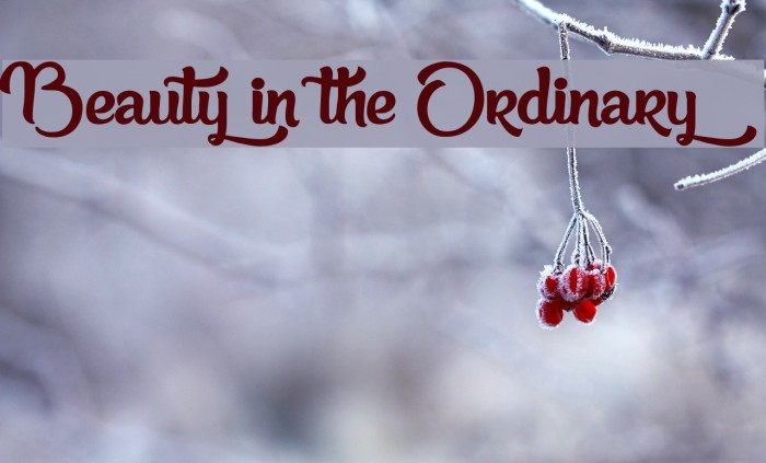 Beauty in the Ordinary Font examples